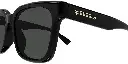gg1175sk-001-02.webp