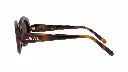 lunettes-de-soleil-loewe-slim-lw40147i-52e-54-20-havane-fonce.webp