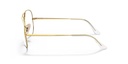 RAY BAN - RX6489 2890