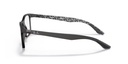 RAY BAN - RX8903 5263