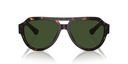 DOLCE GABANNA - DG4466 502/71 56