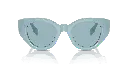 0BE4390__408680__P21__shad__fr.webp