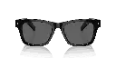 PR A17S 16K731 54 (2).webp