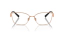TIFFANY & CO - TF1160B 6105