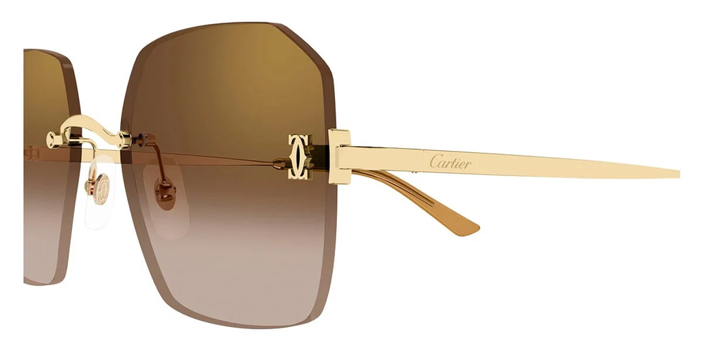 cartier-ct0591s-002-hd-3.webp