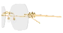 CT0646O 001 54 (2).webp