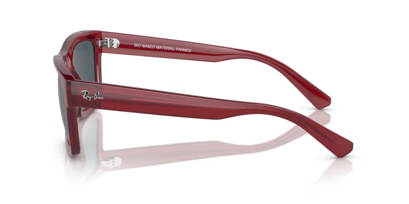 RAY BAN - RB4396 667987