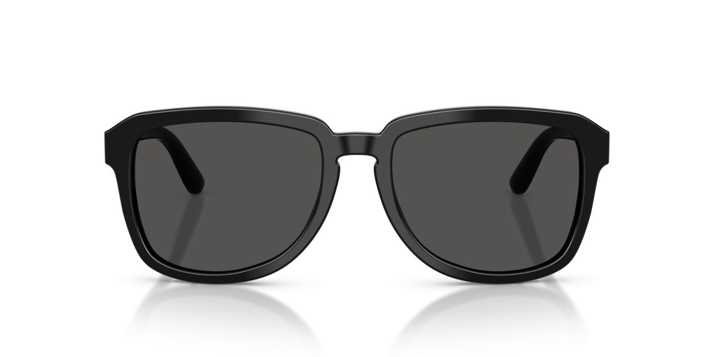 DOLCE GABBANA - DG4566 501/87 56 - frente