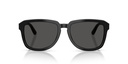 DOLCE GABBANA - DG4566 501/87 56 - frente