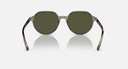 RAY BAN - RB2195 THALIA 66355C 3N