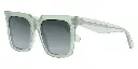 CELINE - CL4055IN 93B
