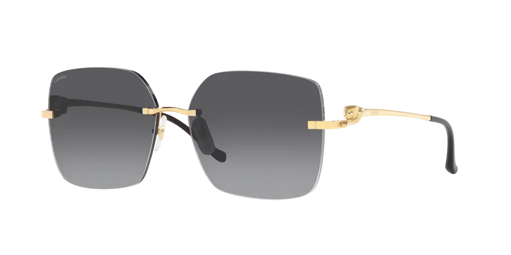 CARTIER - CT0359S 001