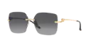 CARTIER - CT0359S 001