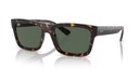 RAY BAN - RB4396 13597154