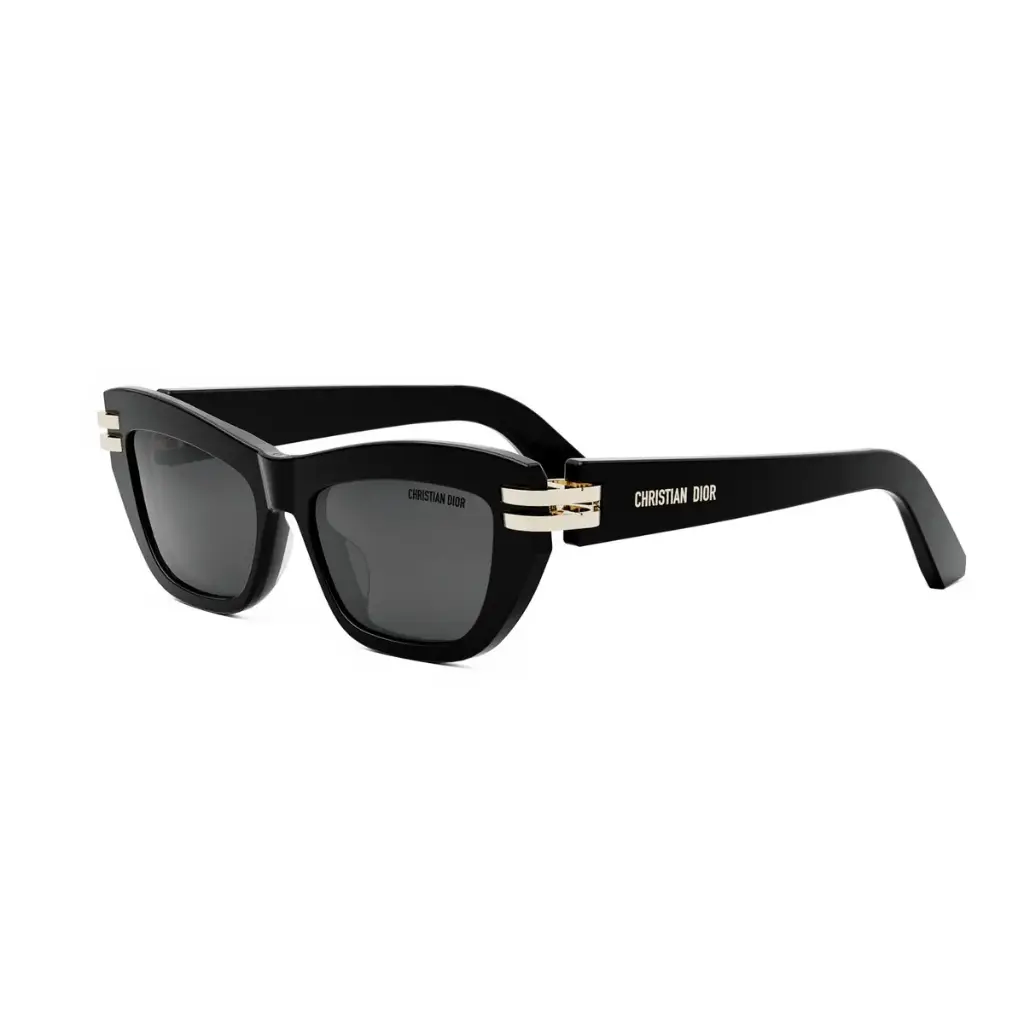 DIOR - CDIOR B2U 10A0