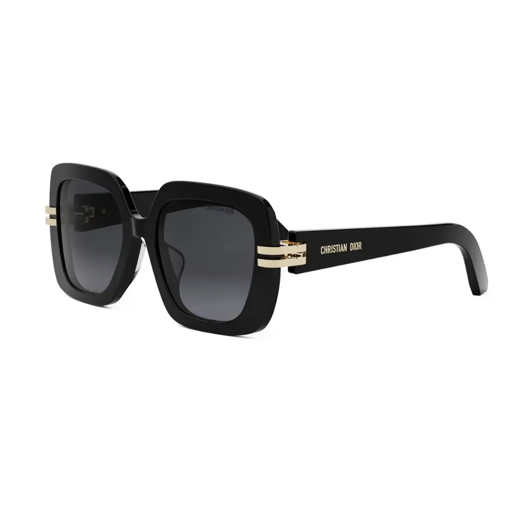 DIOR - CDIOR S2F 10A1 3N