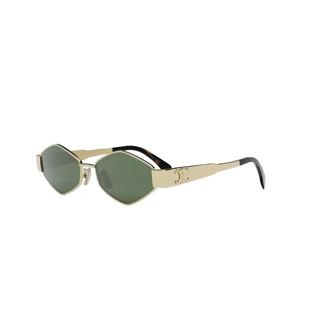 CELINE - CL40254U 30N