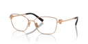TIFFANY & CO - TF1160B 6105