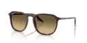 RAY BAN - RB2203 14290A