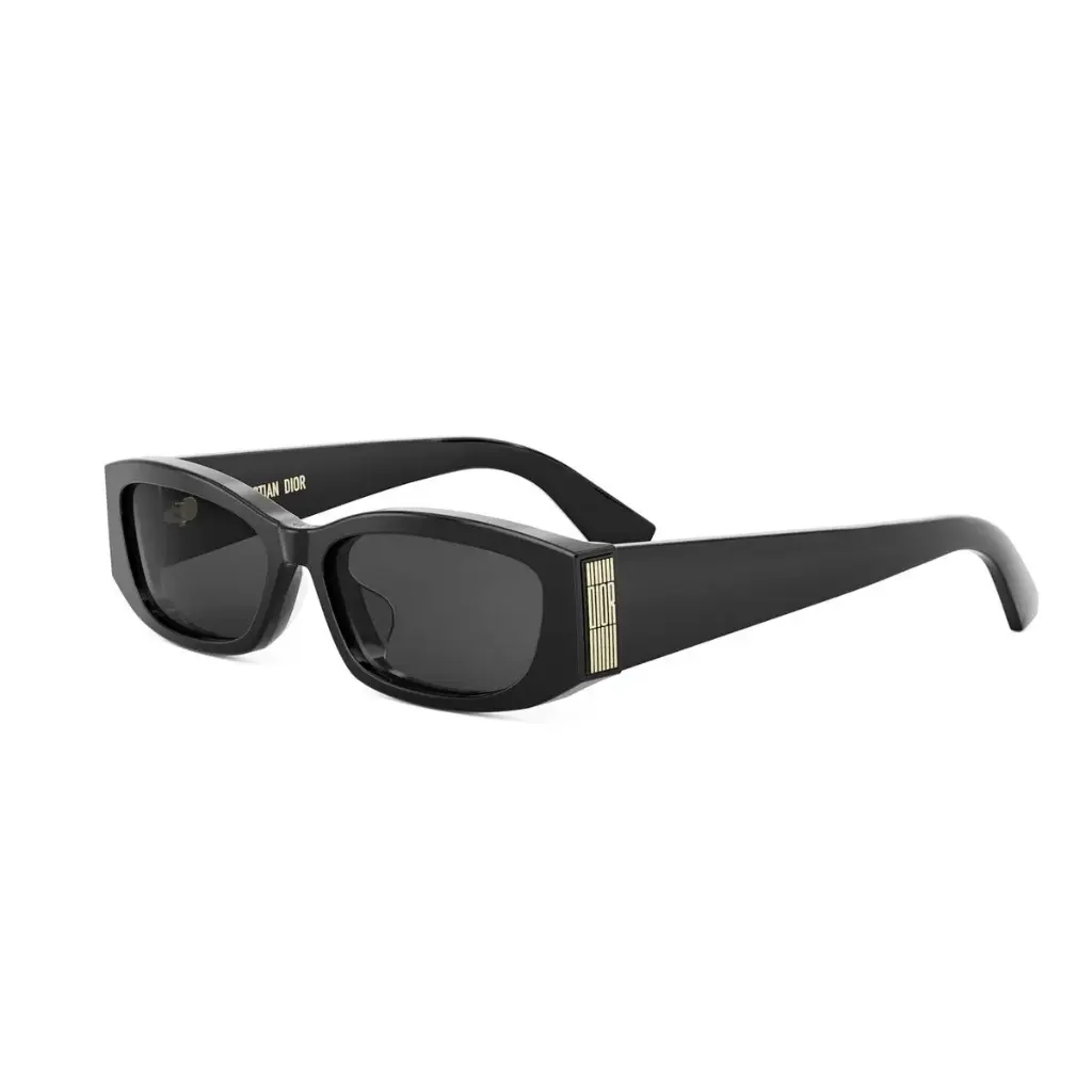 DIOR - DIORGRAPHIQUE S1F 10A0