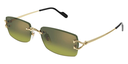 CARTIER - CT0550S 006 