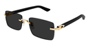 CARTIER - CT0579S 005