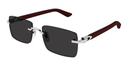 CARTIER - CT0579S 006
