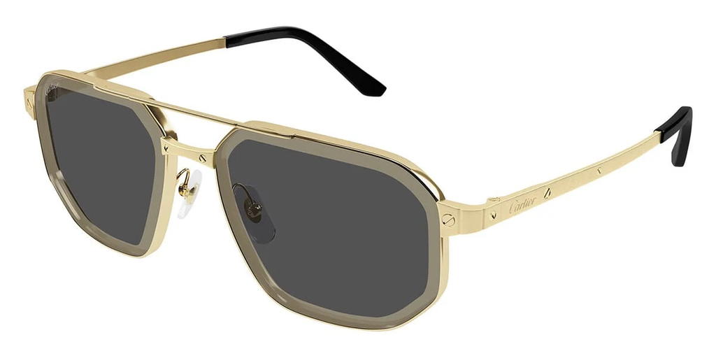 CARTIER - CT0462S 005