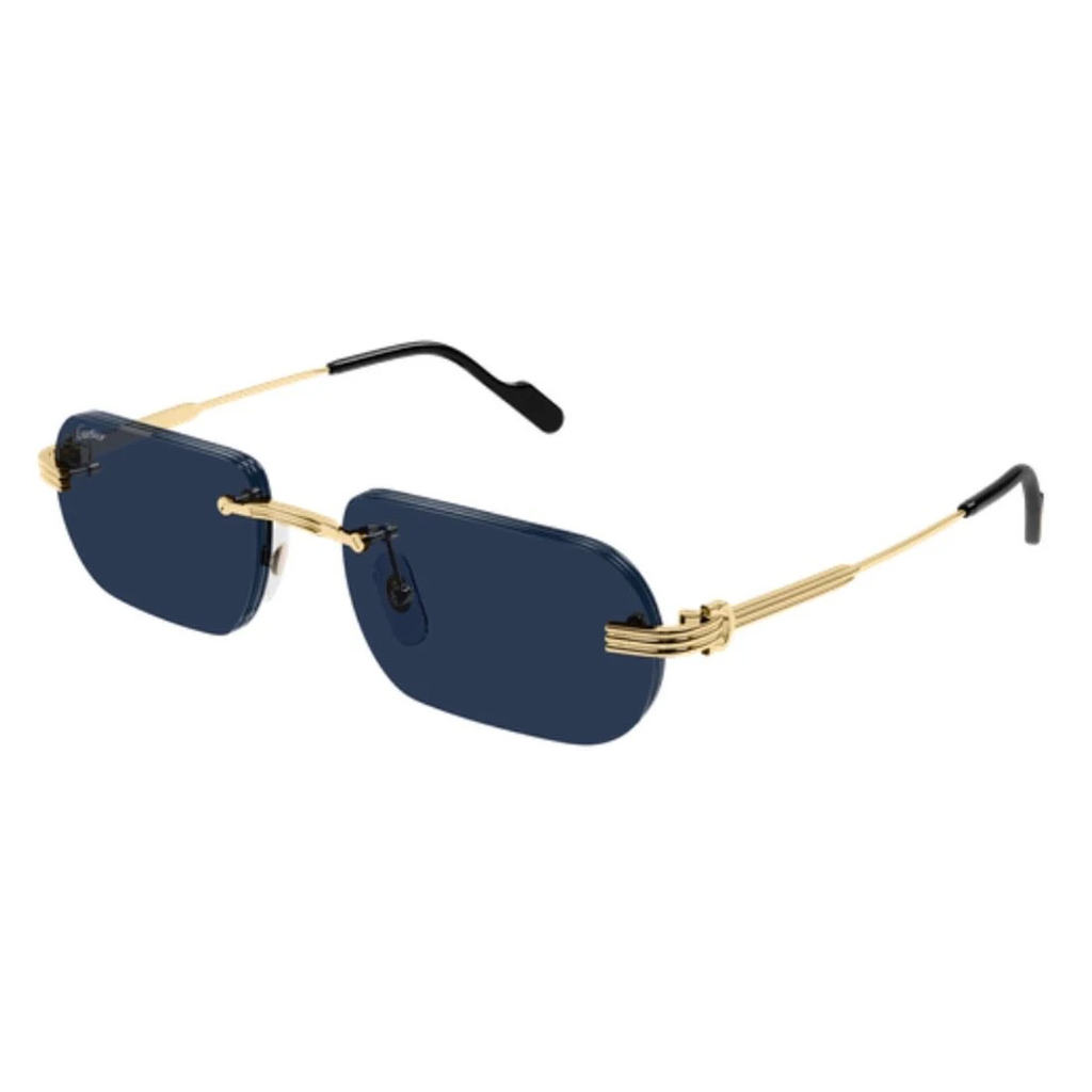 CARTIER - CT0577S 003