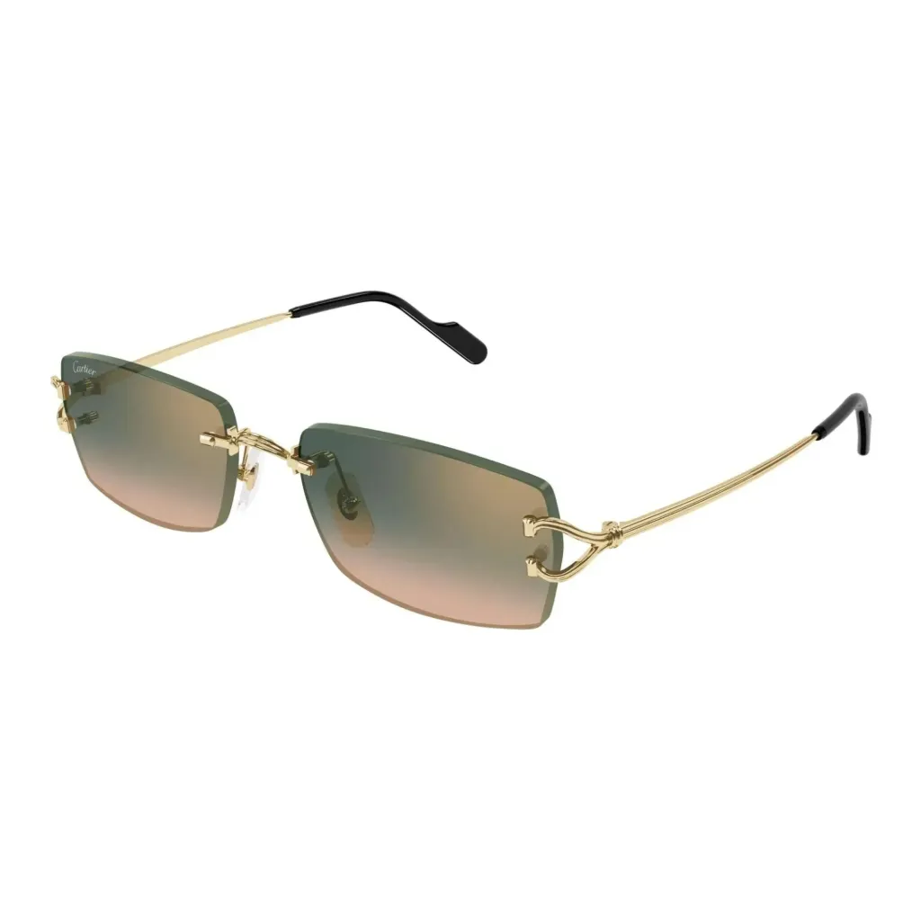 CARTIER - CT0550S 009