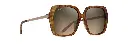 MAUI JIM - Poolside HS838-21