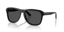 DOLCE GABBANA - DG4566 501/87 56