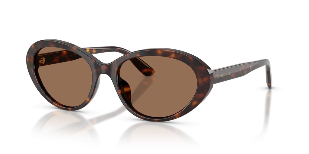 [DG4570-502/73] DOLCE GABBANA - DG4570 502/73 53