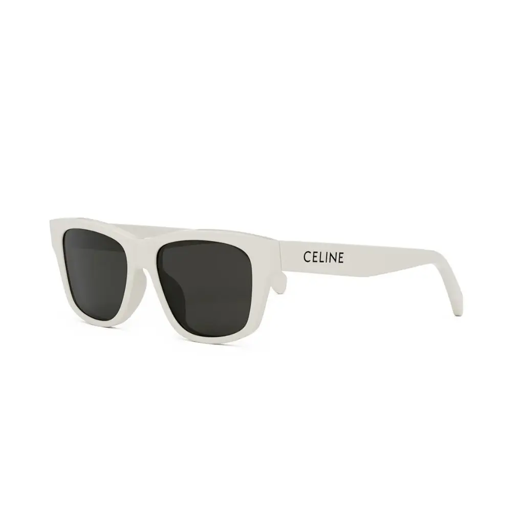 CELINE - CL40249U 25A