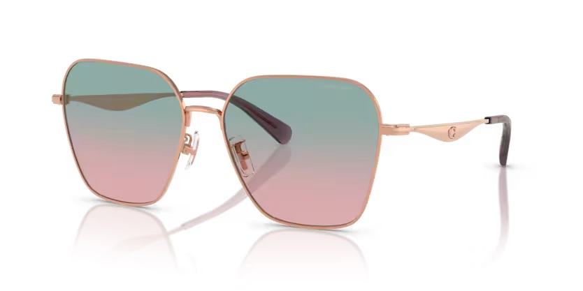 COACH - HC7168 93310Q 