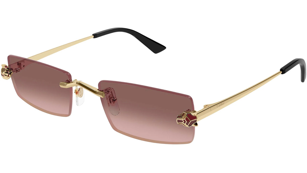 CARTIER - CT0598S 004 